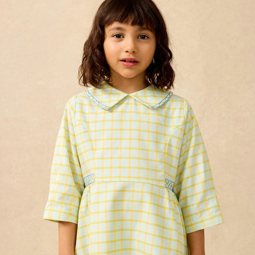 Embroidered Dress in Push Pop Plaid