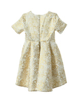 AISA (gold baroque print)