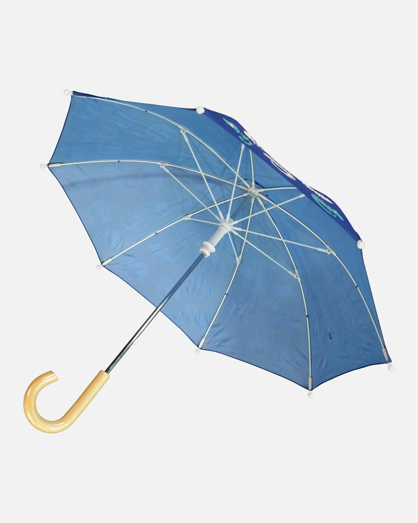 Color-Changing Umbrella
