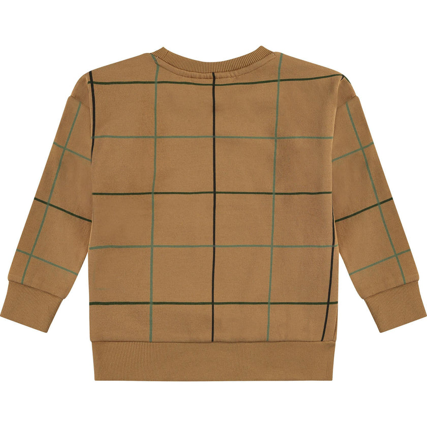 Striped Crew Neck Pullover Sweatshirt
