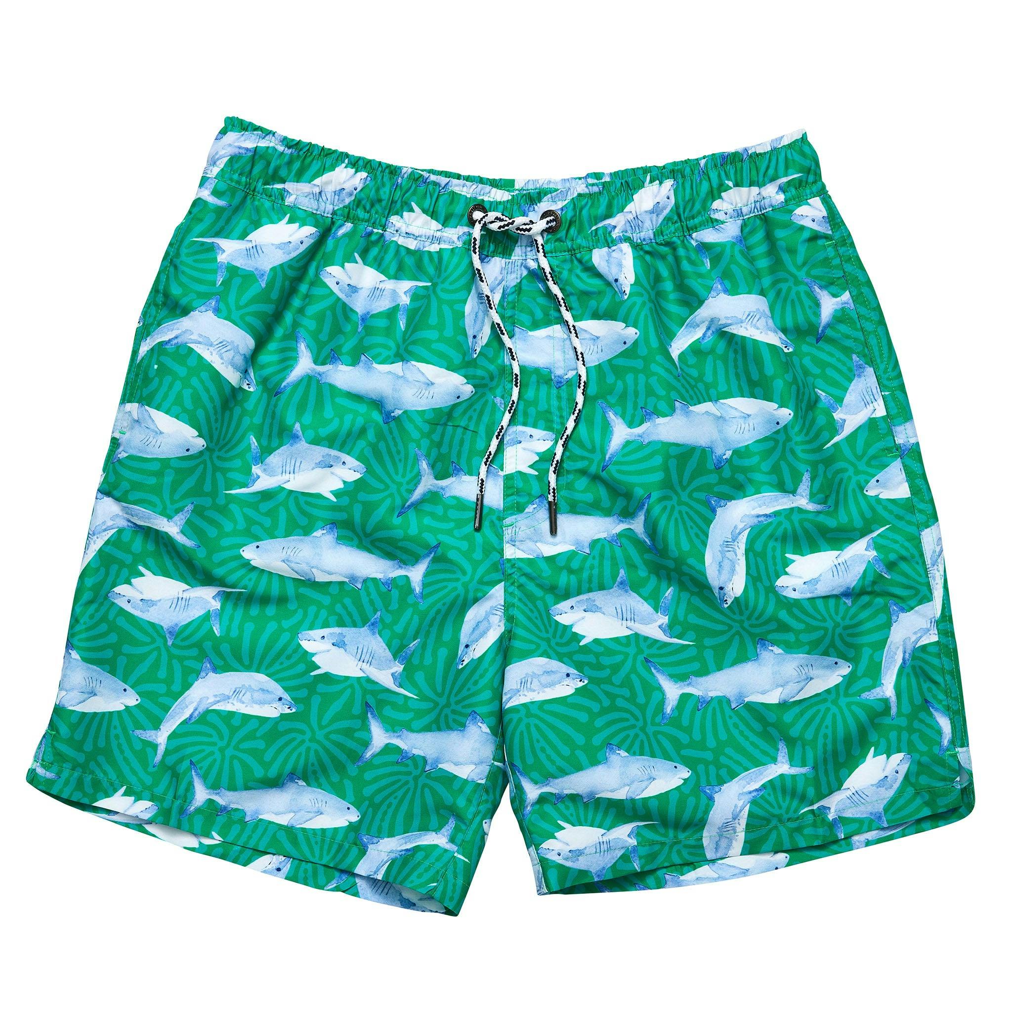 Mens Reef Swim Short