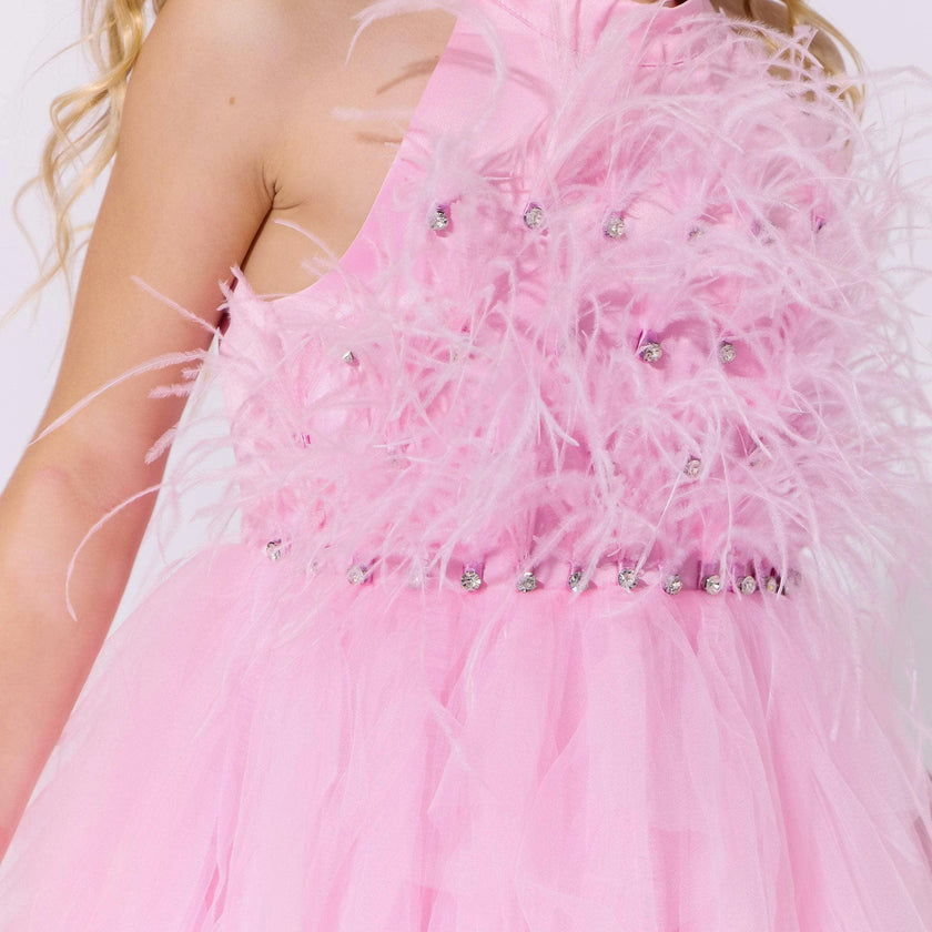 Pink Princess Feather Dress