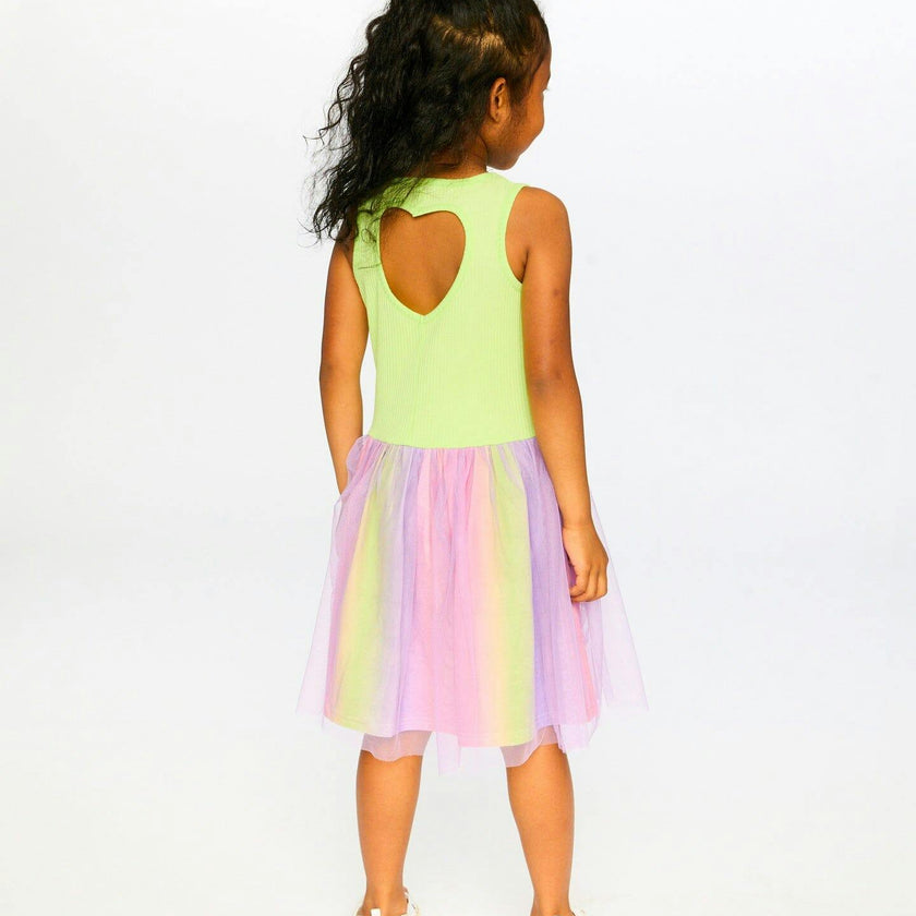 Sleeveless Bi-Material Dress