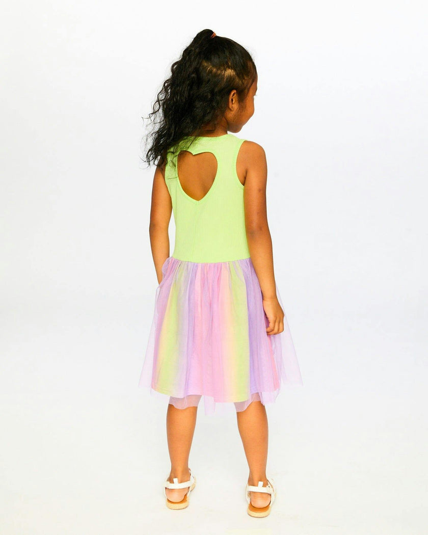 Sleeveless Bi-Material Dress