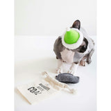 NAUGHTY KITTY COAL