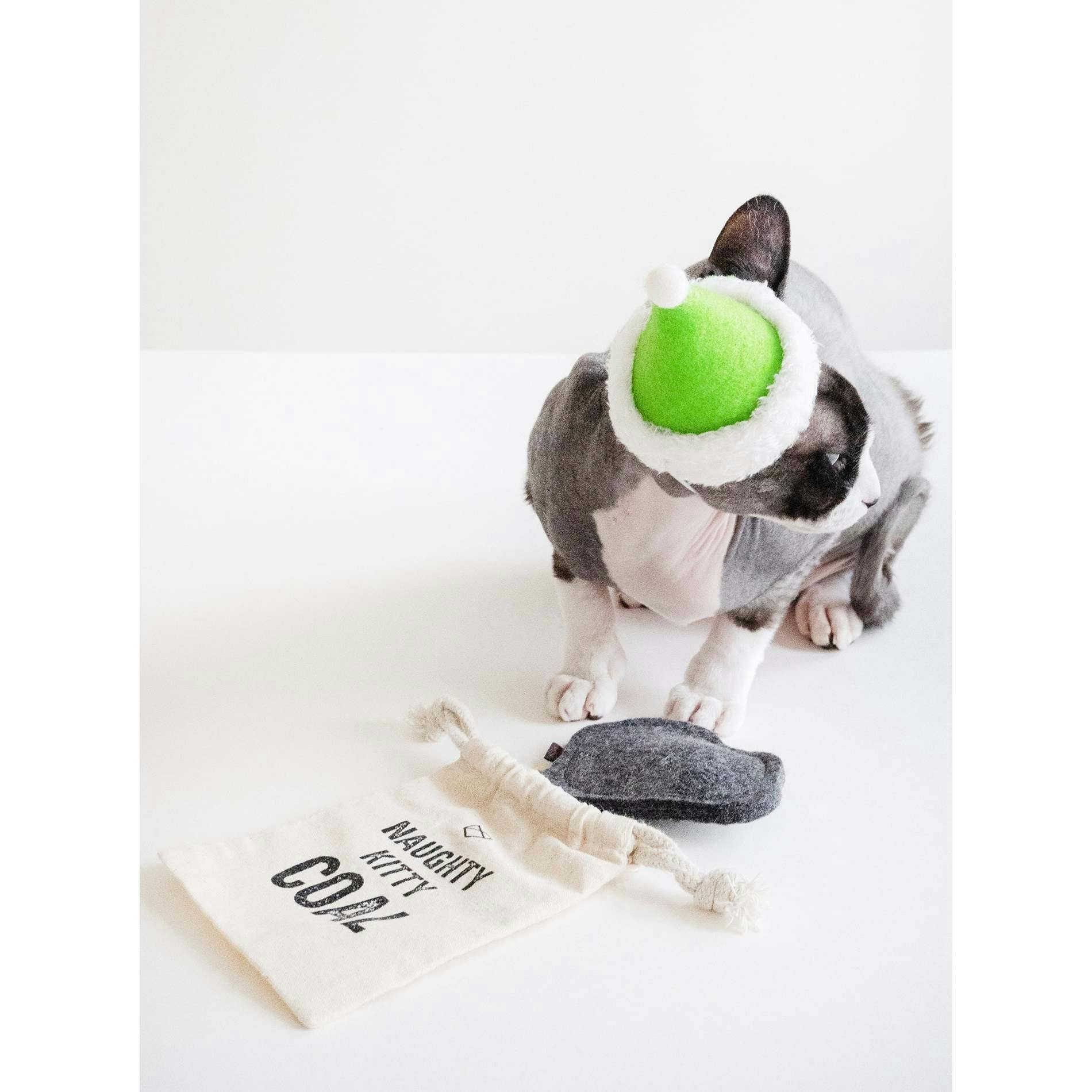 NAUGHTY KITTY COAL