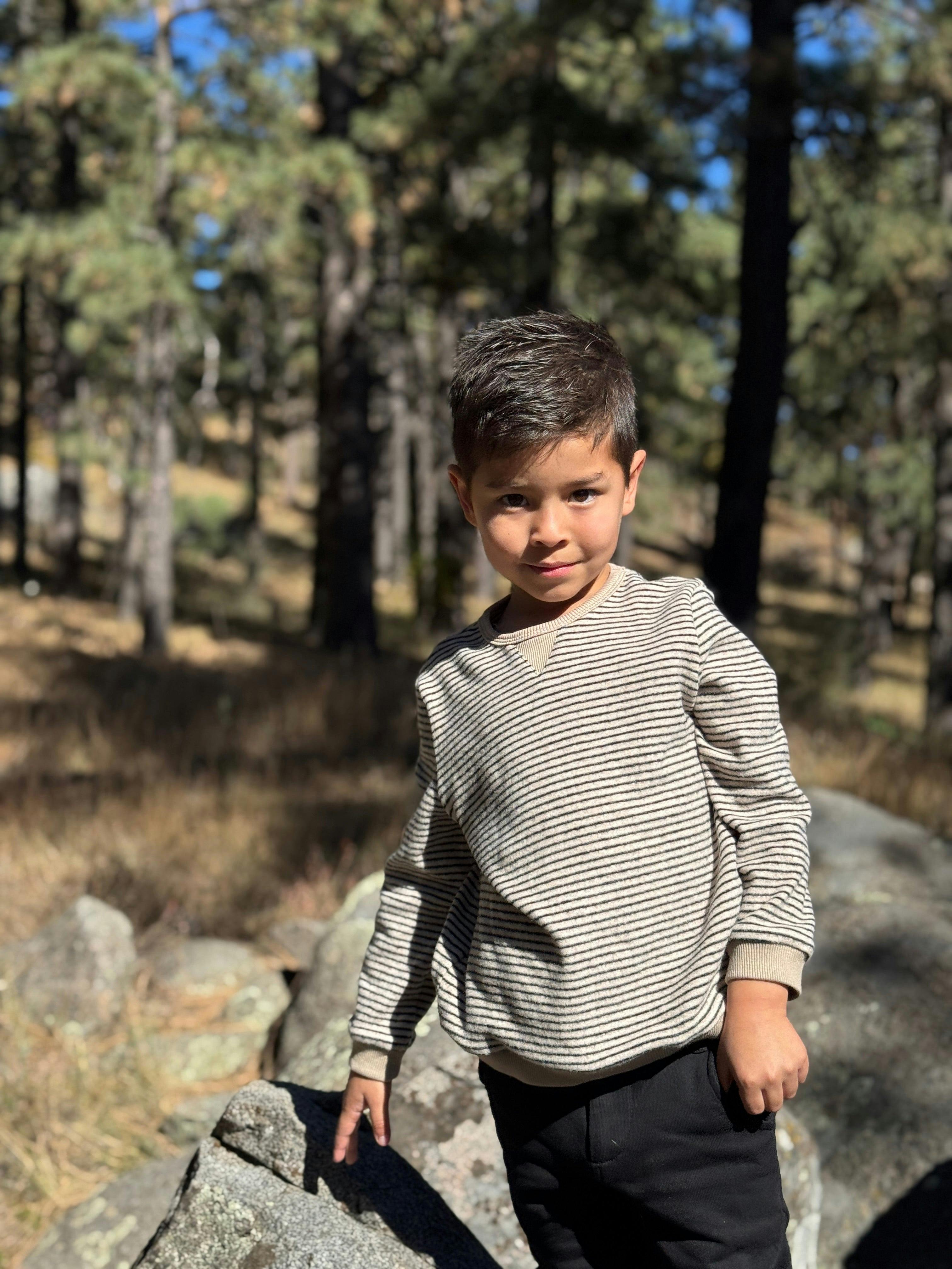 TARQUIN black/beige brushed stripe sweater
