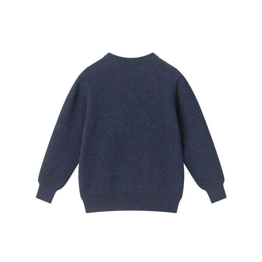 Kids Graphic Sweater | Gobble