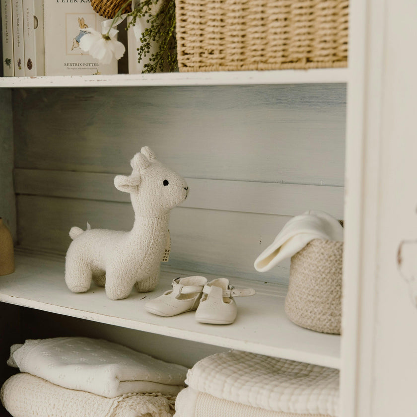 DH Boucle Llama