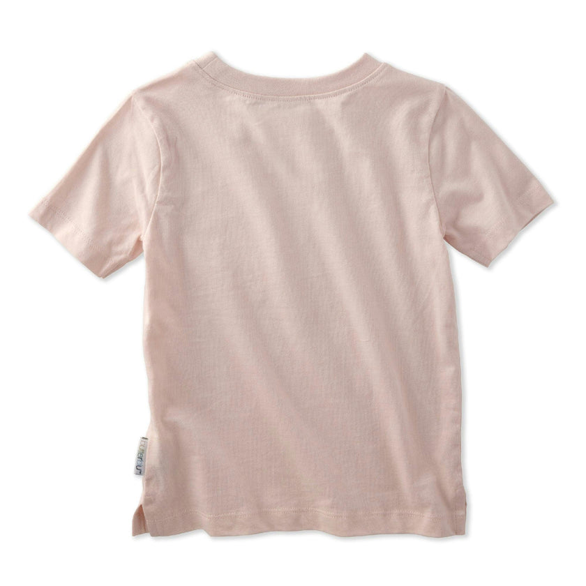 TAYLOR 10-Pack Toddler Short Sleeve T-Shirts