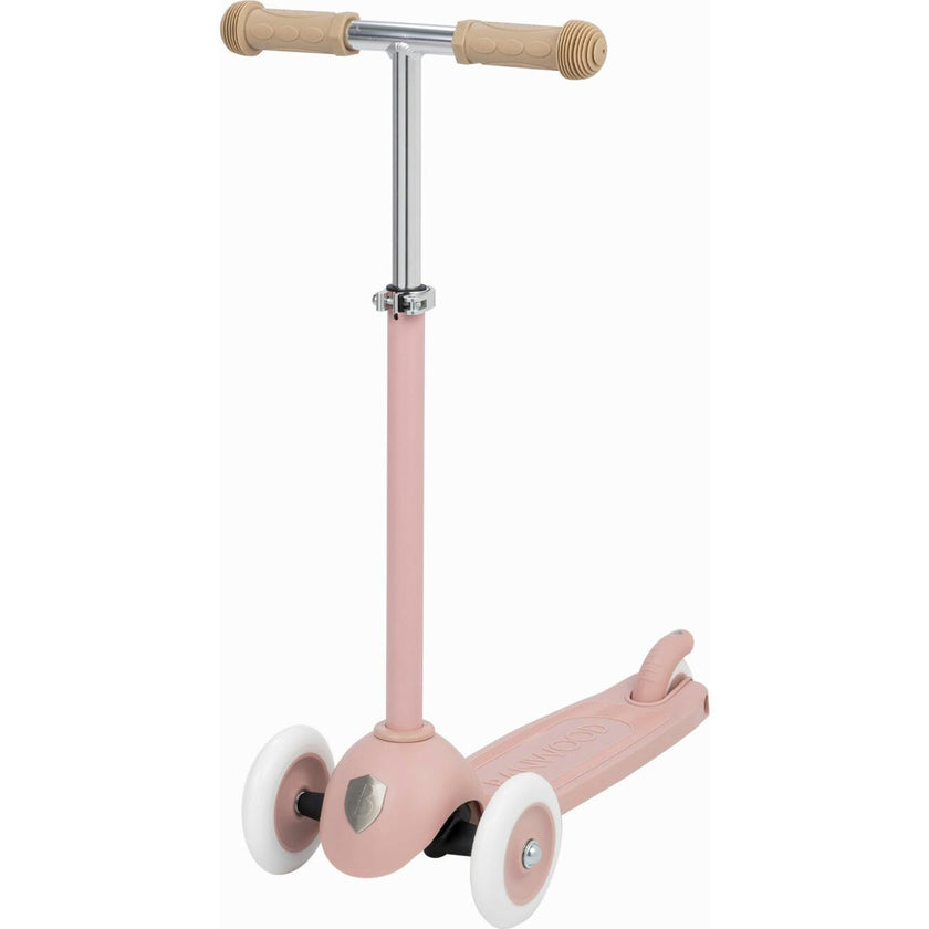 Eco Scooter