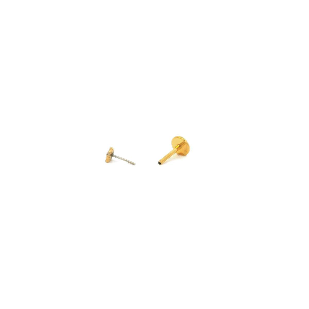 Star Titanium Flat Back Stud Earring