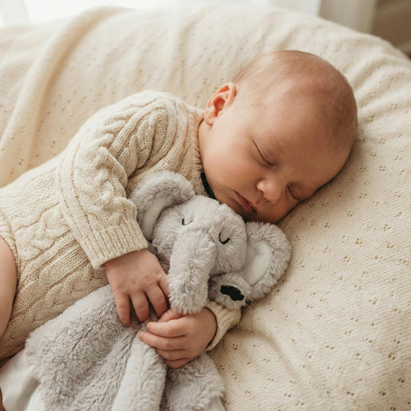 Little Animal Lover Lovey Blanket