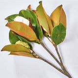 Real Touch Large Magnolia Bud Large Branch Stem 31"