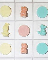 Soap Maker DIY Kit