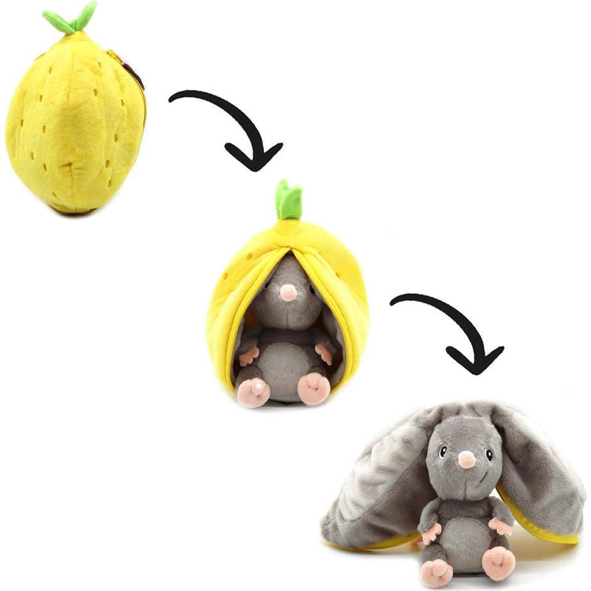 Rocket The Mouse/Lemon - Flipetz