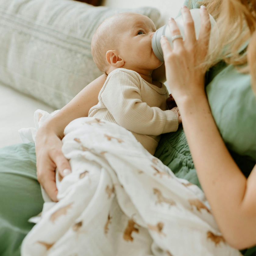 Organic Cotton Muslin Swaddle Blanket 2 Pack - Animal Crackers