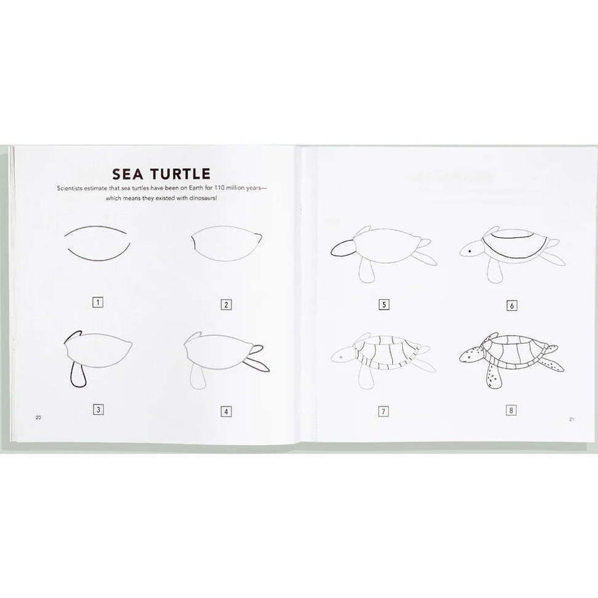 How to Draw Under the Sea for Kids