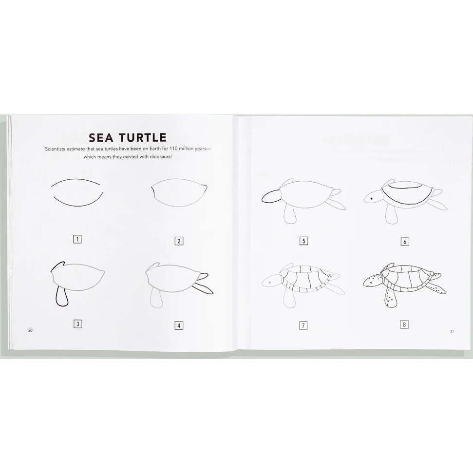 How to Draw Under the Sea for Kids