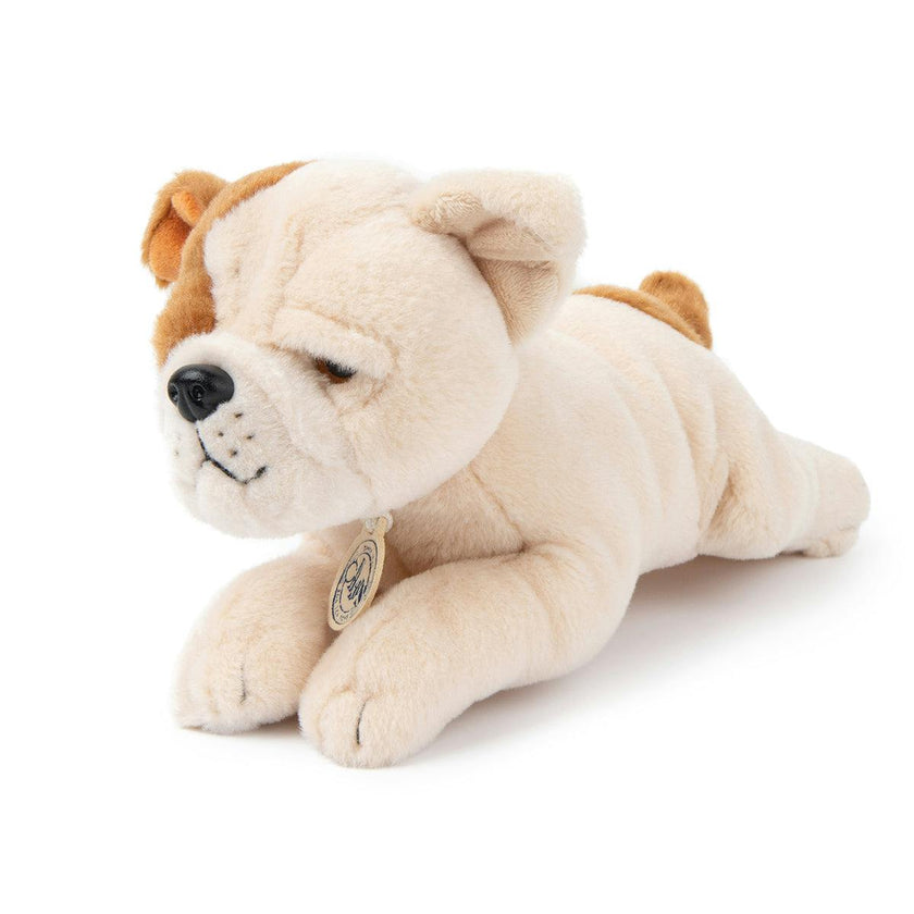 BT CHAPS BERTHA THE AMERICAN FLOPPY in Giftbox 6.5"