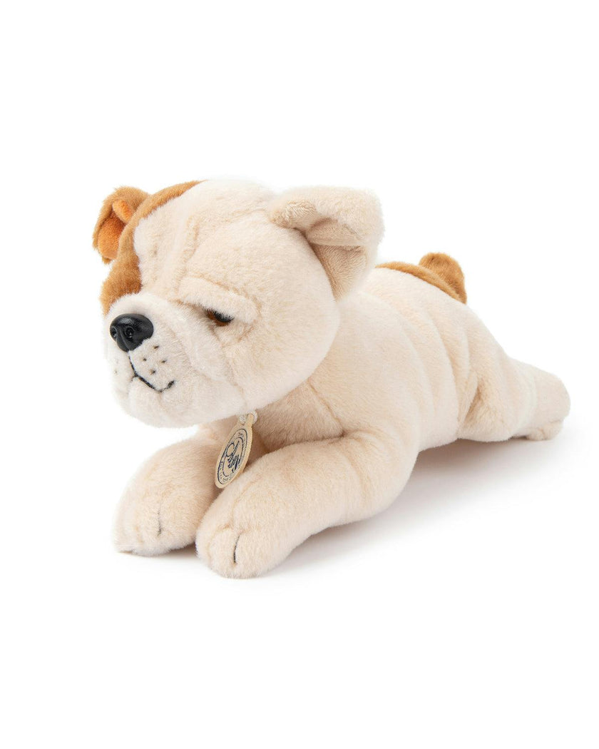 BT CHAPS BERTHA THE AMERICAN FLOPPY in Giftbox 6.5"