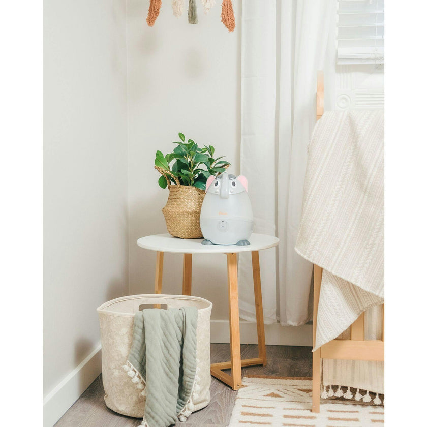 Adorable Mini Cool Mist Humidifier