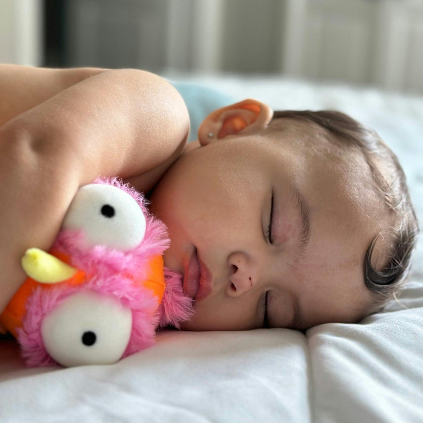 Ollie Soft Toy & Infant Novel Set