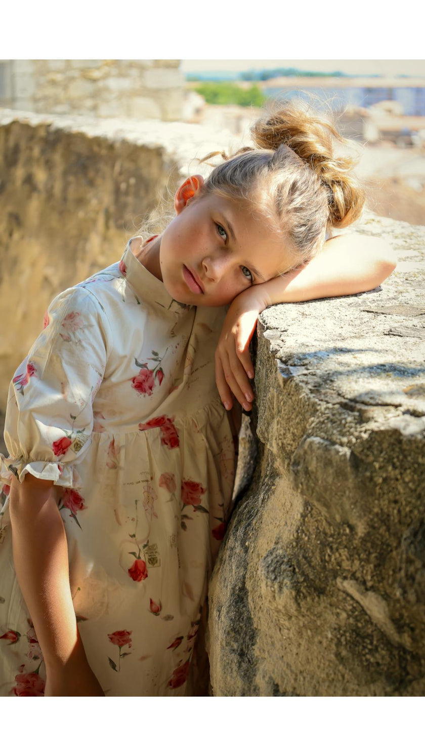 Madeleine Dress- Rose Garden Toile