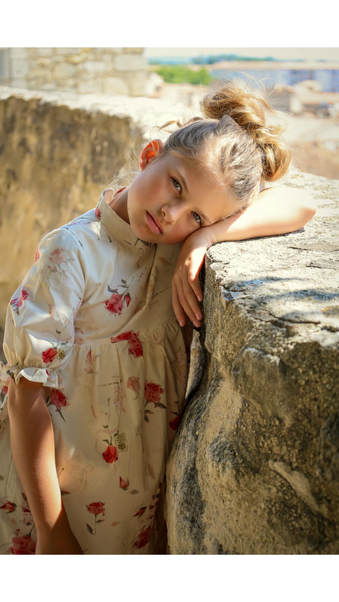 Madeleine Dress- Rose Garden Toile