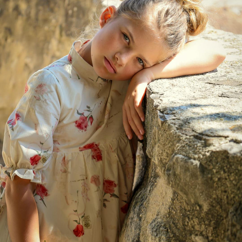 Madeleine Dress- Rose Garden Toile