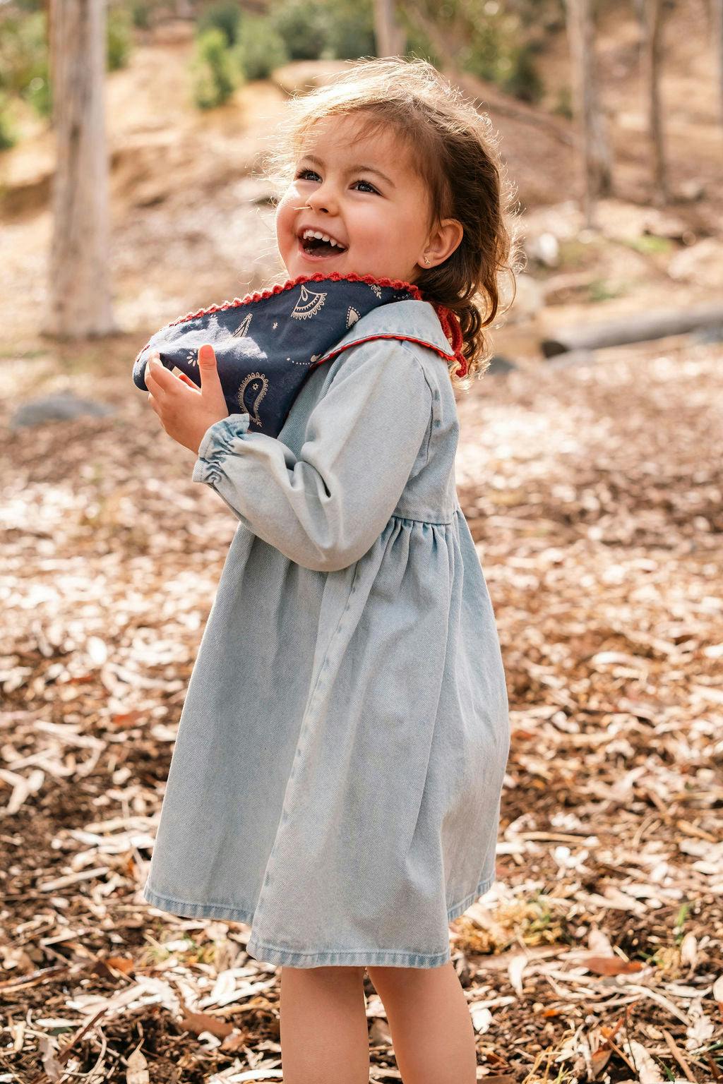 Clementine Dress in Denim Darling