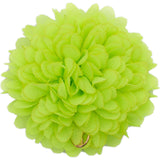 Auset Hairclip