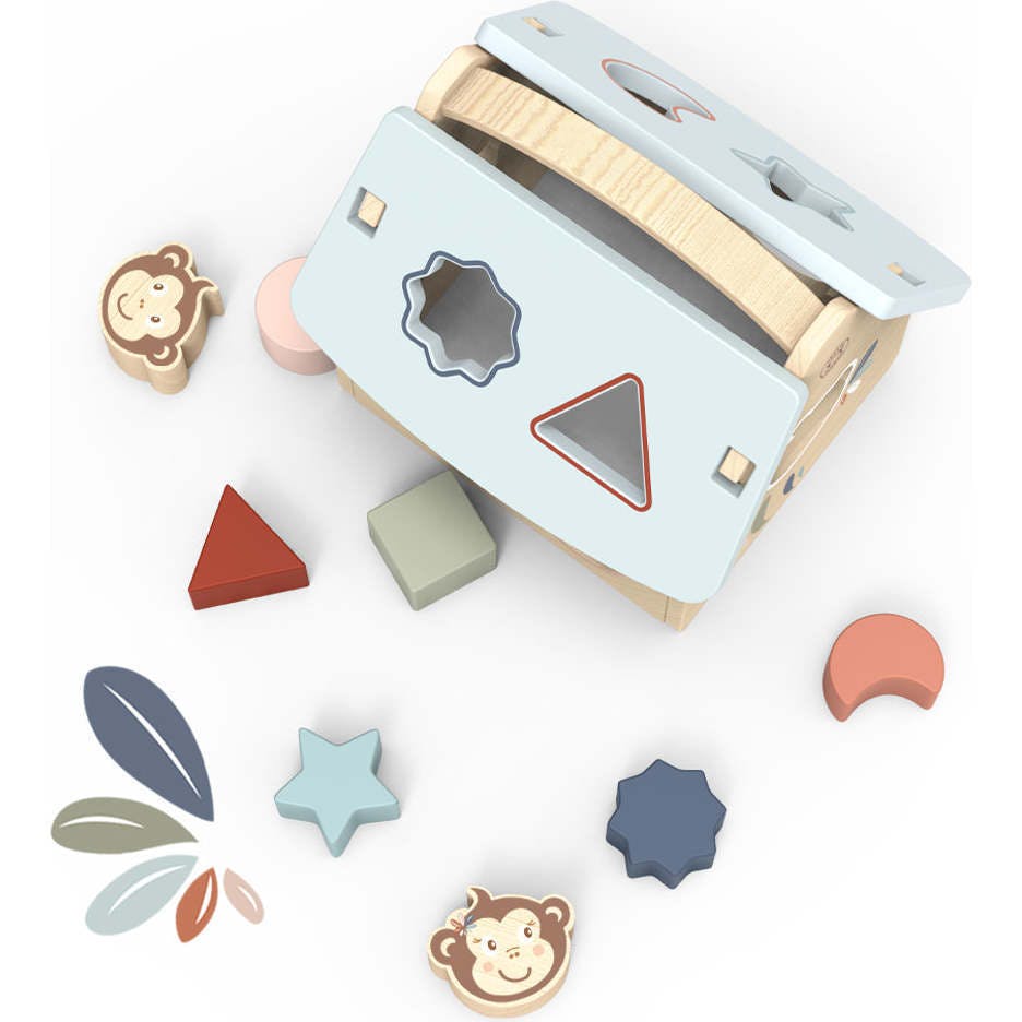 House Shape Sorter
