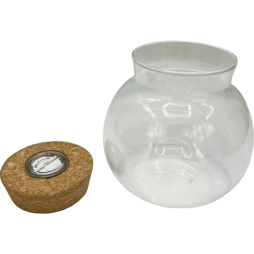 Glass Terrarium: 4" With Cork & 3 LEDs - 2 Pack