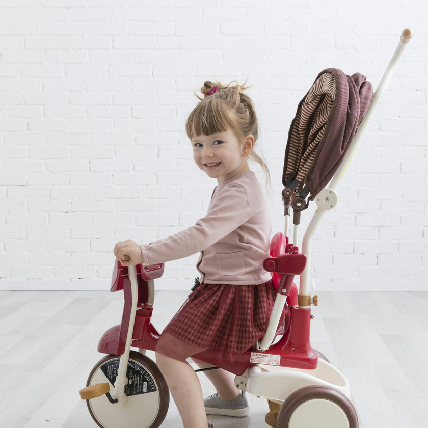 3-in-1 Folding Tricycle