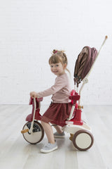 3-in-1 Folding Tricycle
