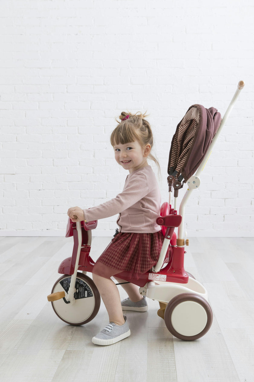 3-in-1 Folding Tricycle