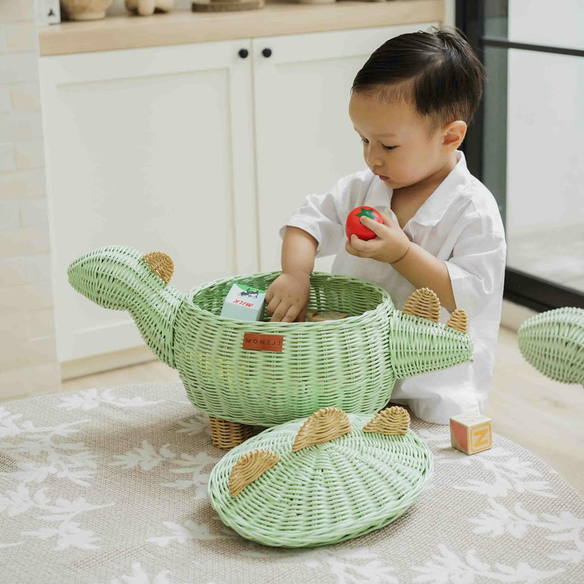 Handcrafted - Dinosaur Storage Basket Mint Green (Medium) - Rattan Wicker