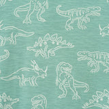 Boys Graphic Tee | Allover Dino