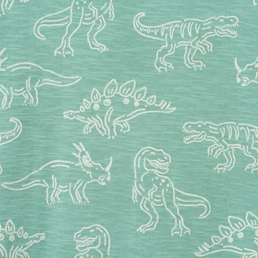 Boys Graphic Tee | Allover Dino