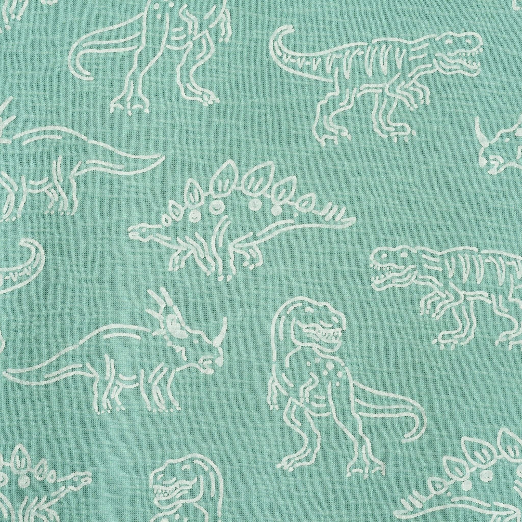Boys Graphic Tee | Allover Dino
