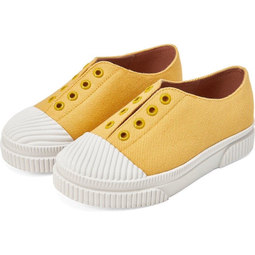 Alex Round Toe Bright Canvas Sneakers