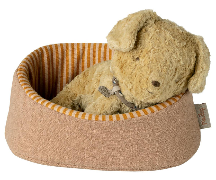 Pet Basket - Powder