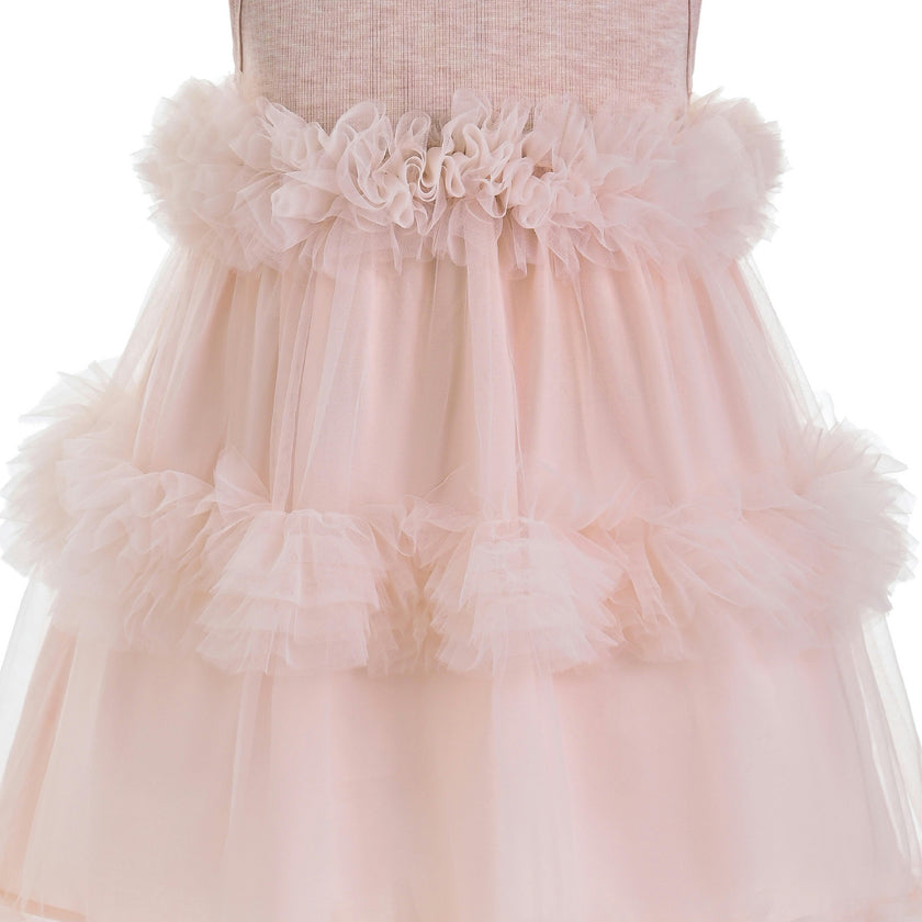 Pink Norelia Ruffle Tulle Dress