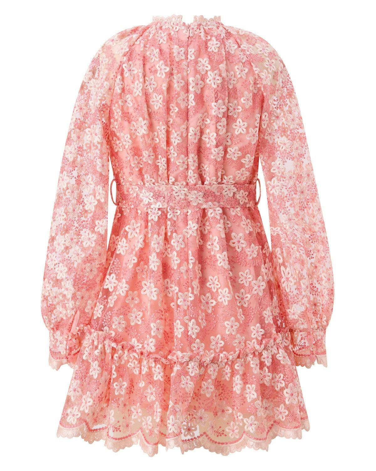 Julia Embroidered Mini Dress