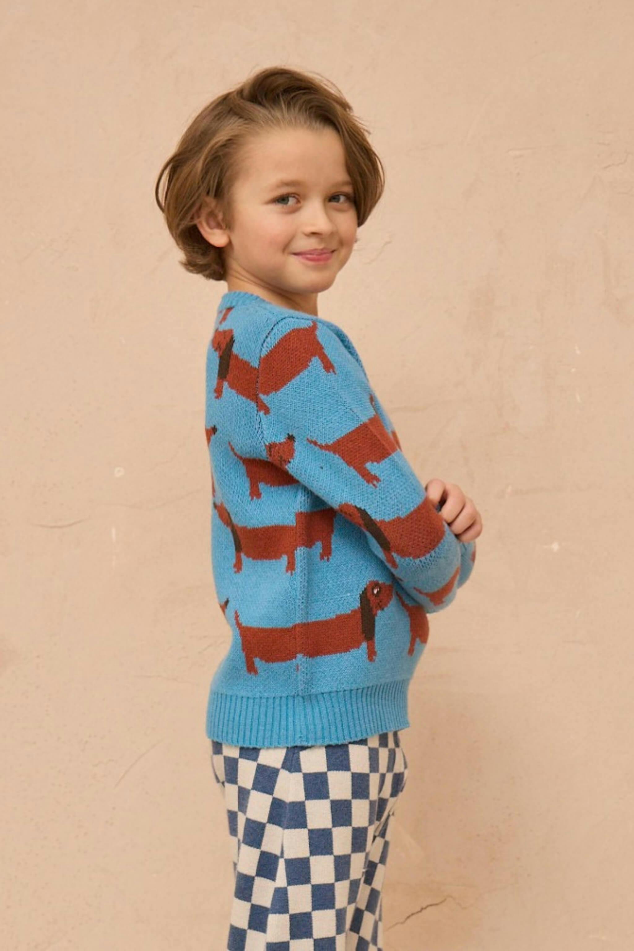 Dachshund Jumper | Iceland Blue