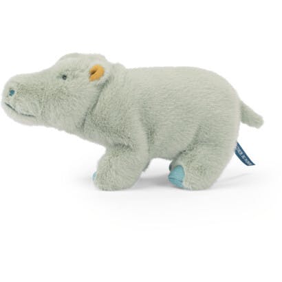 Small Hippopotamus - All Around The World