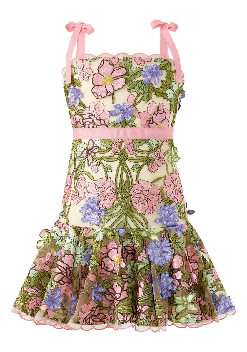 Bonnie Embroidered Mini Dress
