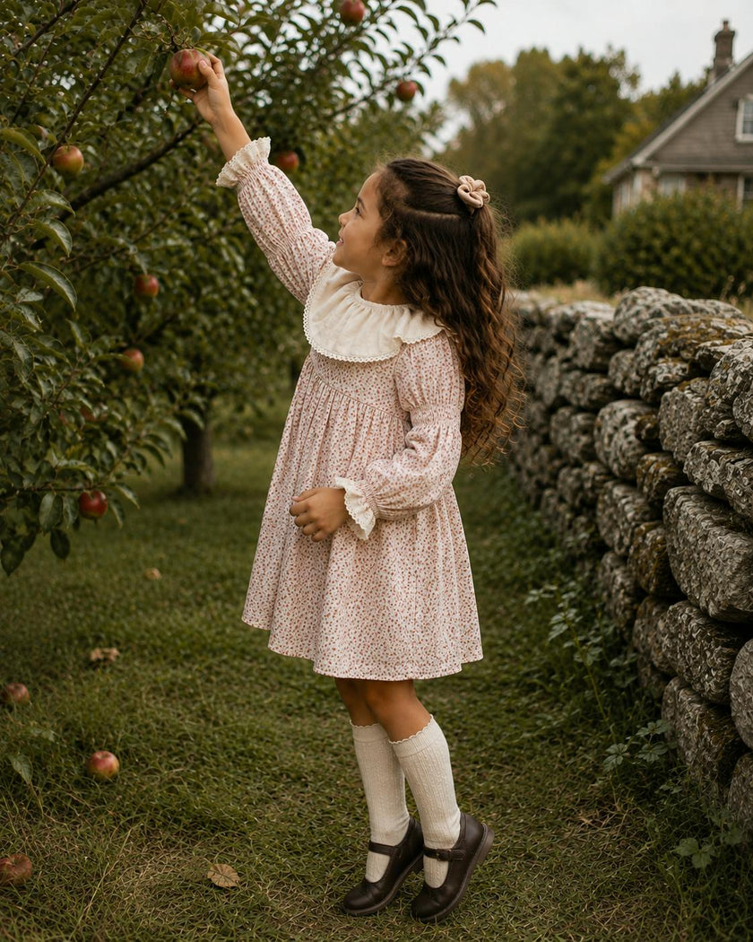 Marguerite Dress | Wild Rosebud Garden