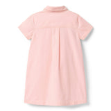 The Bridle Bit Corduroy Dress, pink